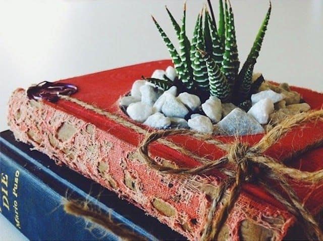 Ideas creativas. DIY. Convierte libros viejos en macetas para cactus.